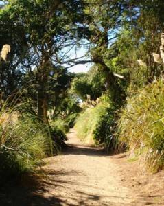 Titahi-Bay-Path-edit