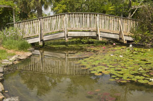 mindflness-one-on-one-bridge